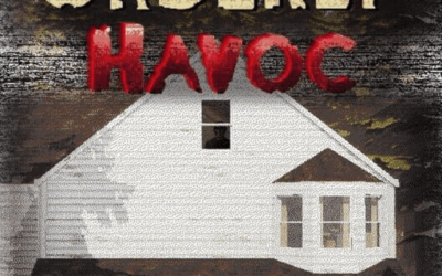 Orderly Havoc Highly compressed Includes DLLs For Pc